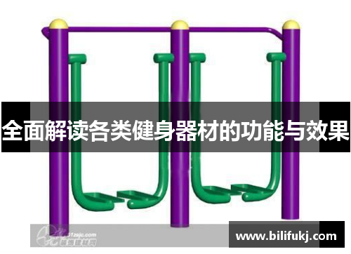 全面解读各类健身器材的功能与效果