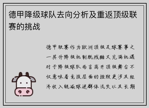 德甲降级球队去向分析及重返顶级联赛的挑战